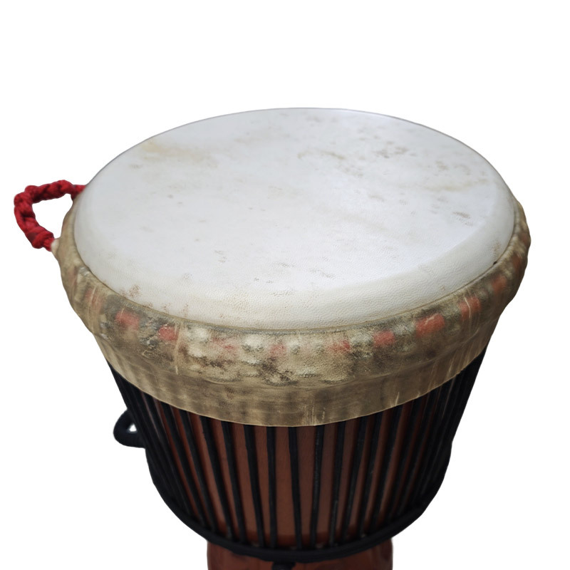 กลองเจมเบ้หนังแพะแท้ สำหรับมือ - Djembe Hand Drum บทวิจารณ์และราคา