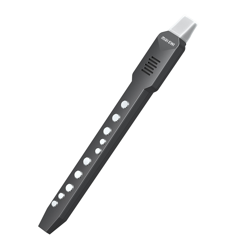 ขลุ่ยฟลุตขนาดเล็กแบบอิเล็กทรอน - Musical Instrument Theremin บทวิจารณ์และราคา